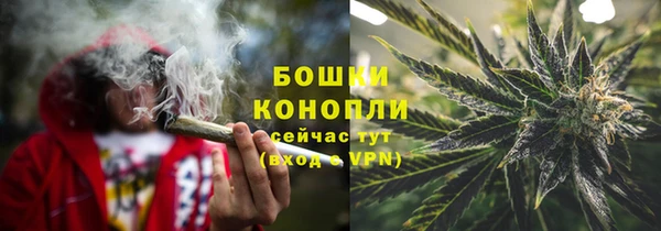 гидра Вязники