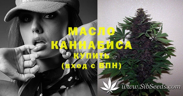 гидра Вязники