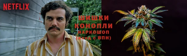 стафф Верхний Тагил