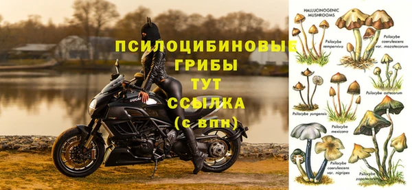 твердый Волосово