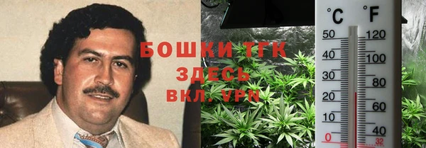 гидра Вязники